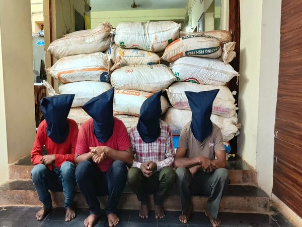 Four arrested in possession of ganja worth Rs 1 crore in AP's ASR district (Photo/ANI)