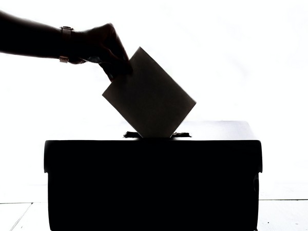 Voting's representative image