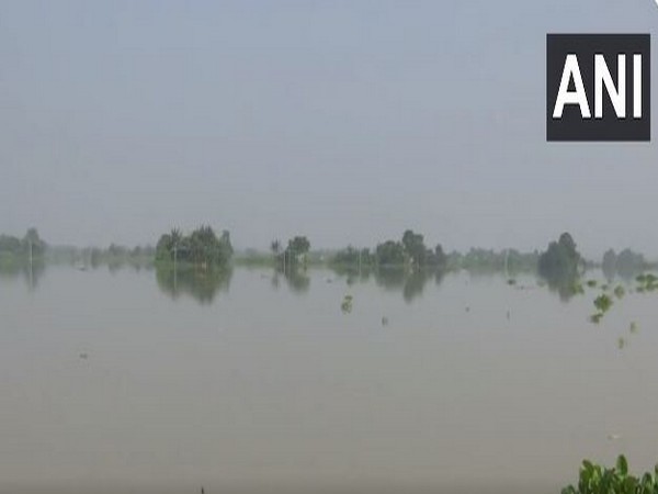 Water level rises in Brahmaputra River in Assam's Morigaon district (Photo/ANI)