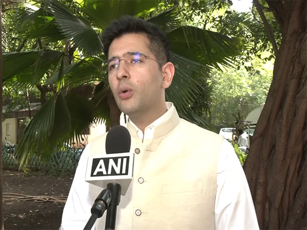 AAP MP Raghav Chadha (Photo/ANI)