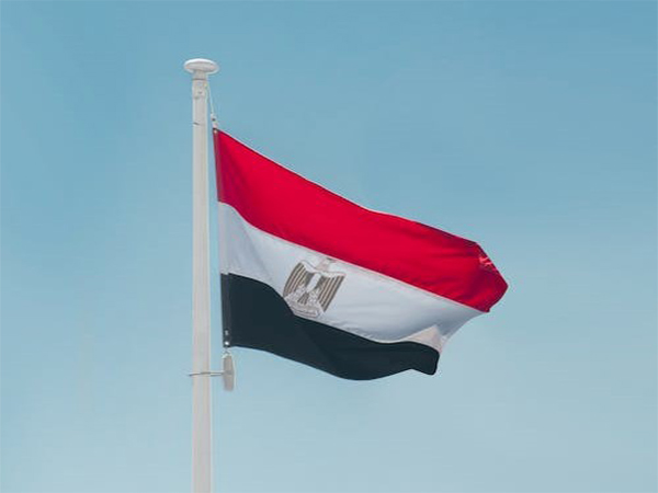 Flag of Egypt (Source: pexels.com)