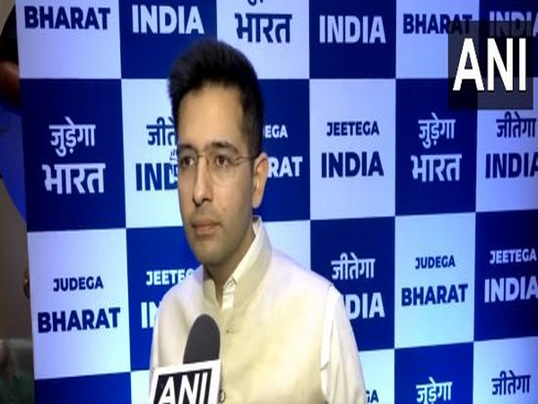 Aam Aadmi Party (AAP) MP Raghav Chadha (Photo/ANI)