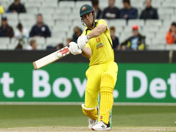 Mitchell Marsh (Photo: Twitter/Cricket.com.au)