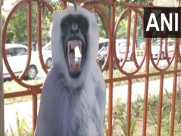 Cut-outs of langur to scare off monkeys installed along G20 routes in Delhi (Photo/ANI)