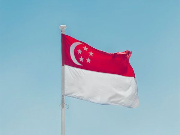 Flag of Singapore (Source: pexels.com)
