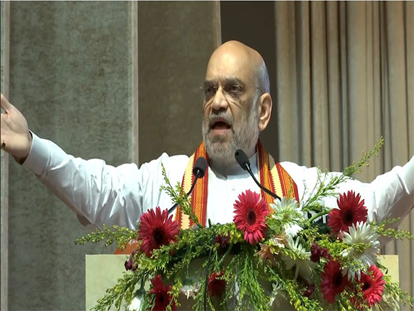 Union Home Minister Amit Shah (Photo/ANI)