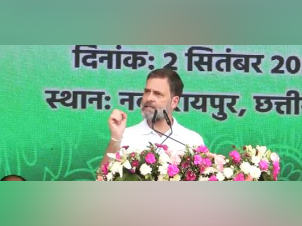 Congress leader Rahul Gandhi (Photo/ANI)