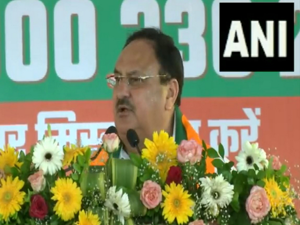 BJP President JP Nadda (Photo/ANI)