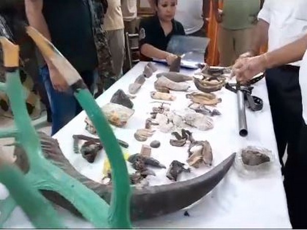 Smuggled animal body parts sized by forest department (Photo/X:@himantabiswa)