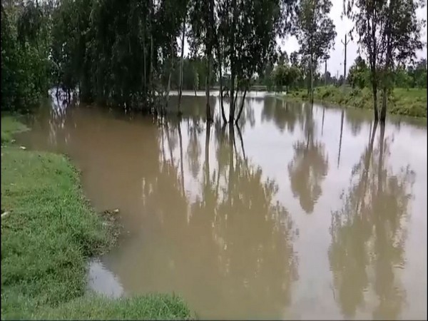 A visual from the spot (Photo/ANI)