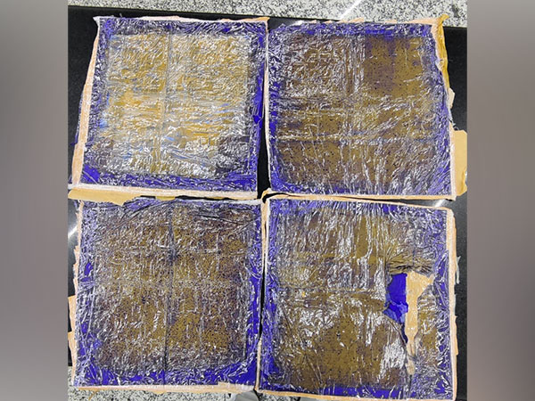 Gold powder seized at Mangaluru Airport. (Photo/ANI)