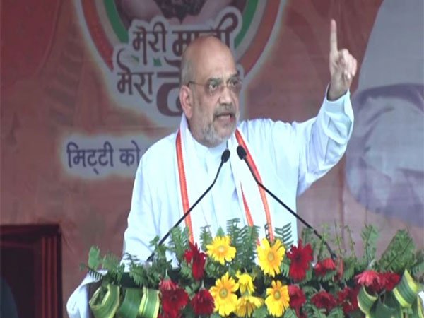 Union Home Minister Amit Shah (Photo/ANI)