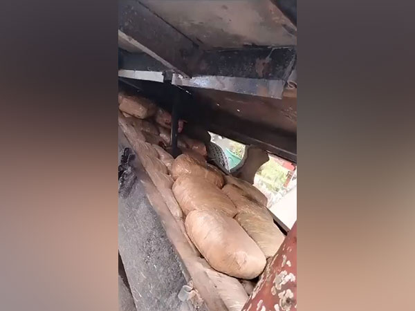 Ganja seized during interception (Photo/ANI)