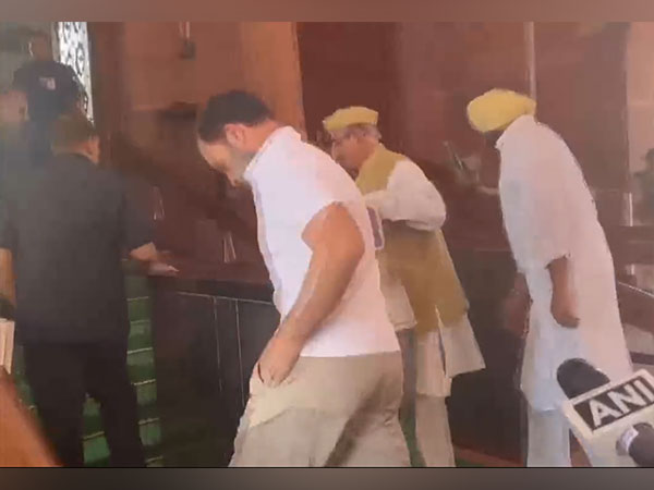 Rahul Gandhi arrives in Parliament. 