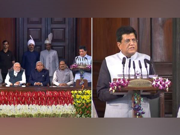 Leader of House Rajya Sabha Piyush Goyal (Images: Sansad TV)