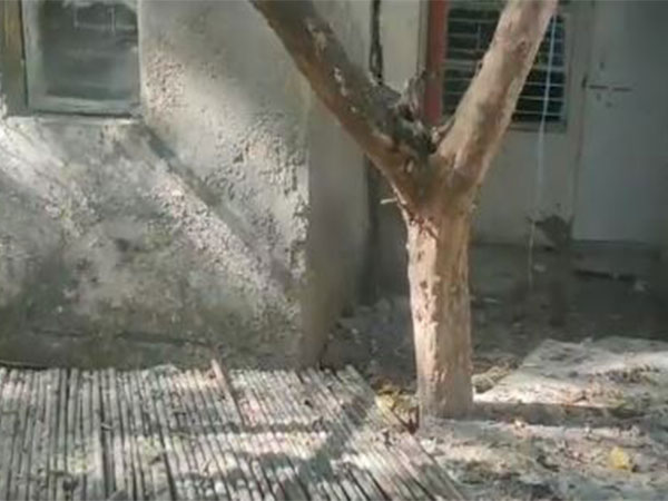 Visuals from the house in R K Puram where the accused burried the body of his colleague (Photo/ANI) 