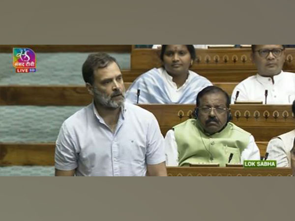 Congress MP Rahul Gandhi (Photo/Sansad TV)