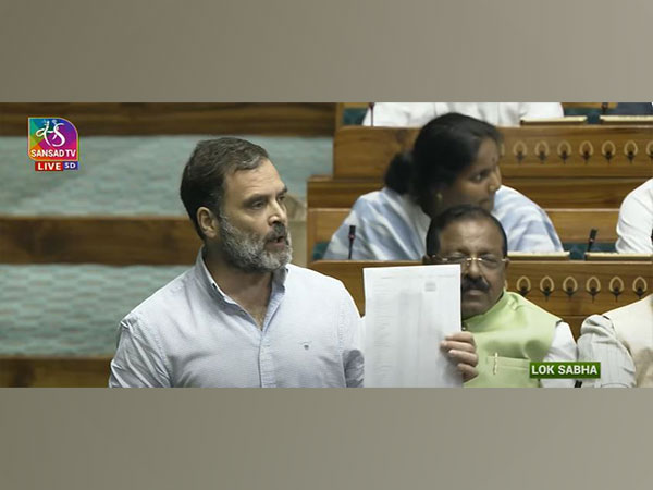 Congress MP Rahul Gandhi (Photo/Sansad TV)