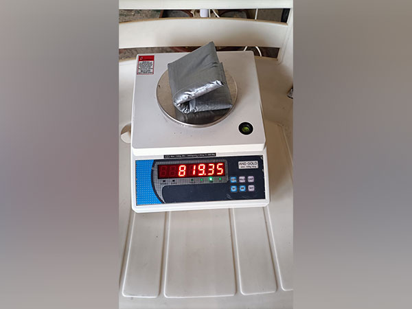 Seized gold (Photo/ANI)