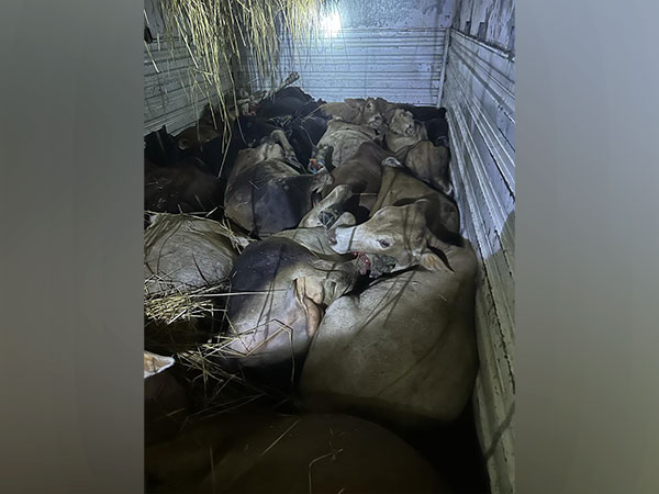 Visuals from the site. (Photo/ANI)