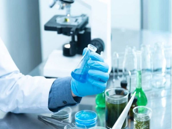 Representative Image  (Image source: Pexels)