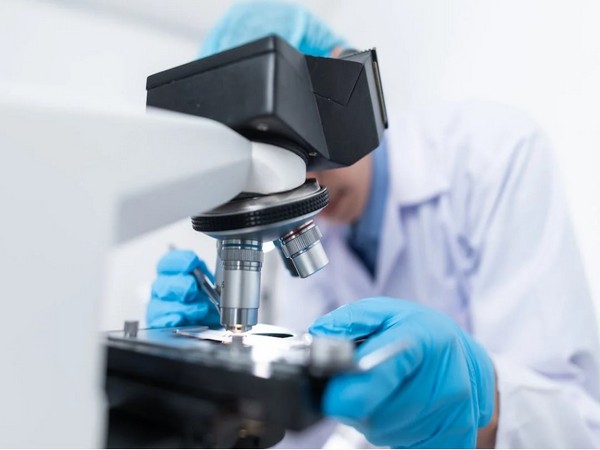 Representative Image  (Image source: Pexels)