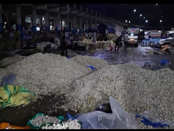 Garlic get wet due to heavy rainfall (Photo/ANI)