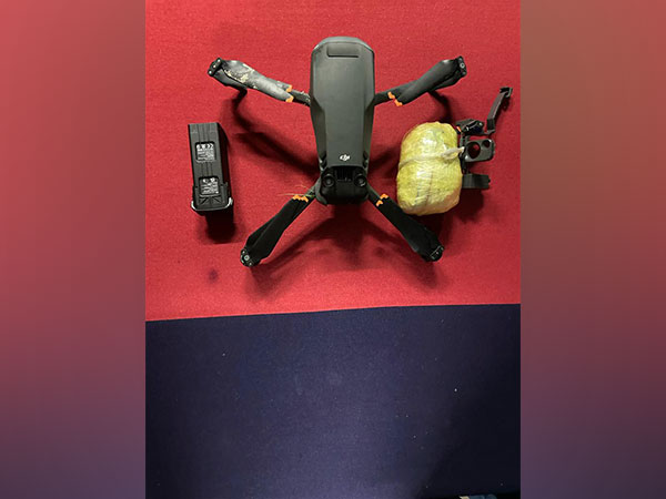 Pakistani drone recovered in Amritsar (Photo/X@BSF_Punjab) 