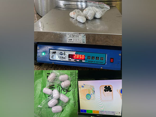 Gold seized at at Mumbai Airport (Photo/ANI)