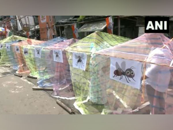 Congress holds protest with mosquito nets against dengue outbreak in West Bengal (Photo/ANI)