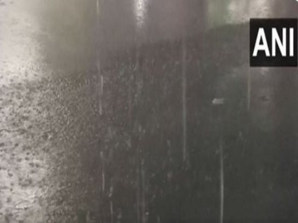 Heavy rains lashed several districts of Tamil Nadu (Photo/ANI)