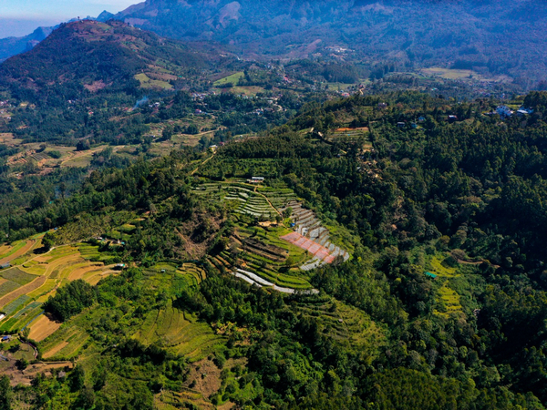 Kanthalloor (Photo credit/Kerala Tourism 'X' handle)