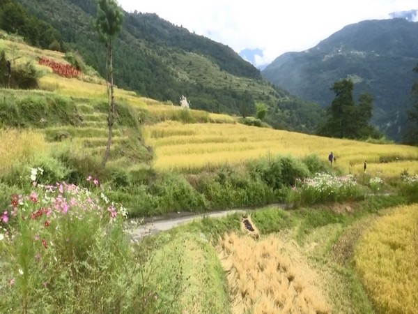  A view of the bordering village in Arunachal Pradesh (Photo/ANI)