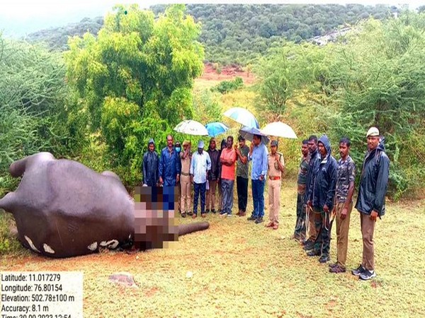 Elephant found dead in Coimbatore forest reserve, Tamilnadu (Photo/ANI)