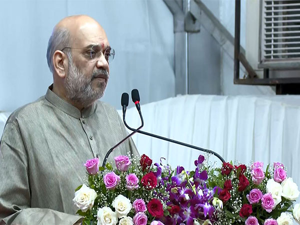 Union Home MInister Amit Shah (File Photo/ANI)