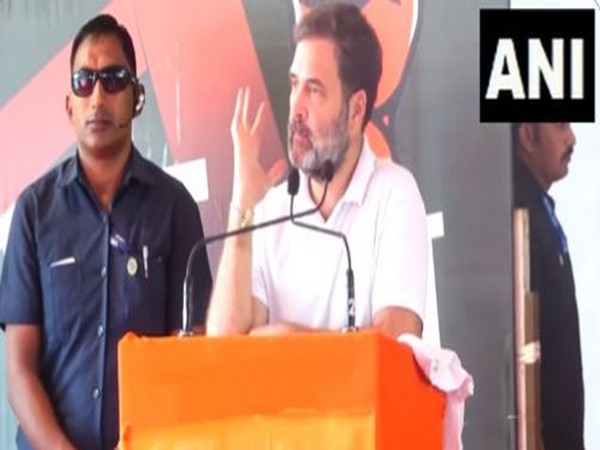 Congress leader Rahul Gandhi (Photo/ANI)