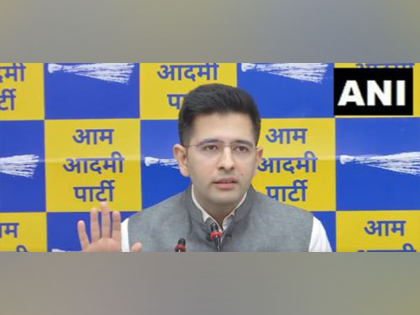 AAP MP Raghav Chadha (Photo/ANI)