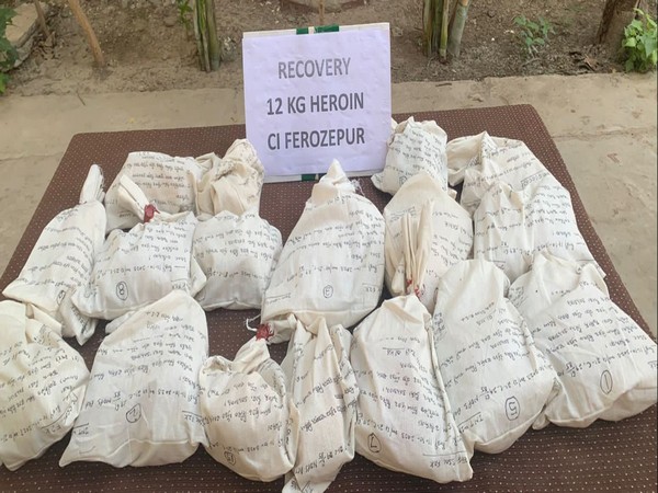 12 kgs of heroin recovered by Punjab police (Photo/DGP Punjab Police X handle)