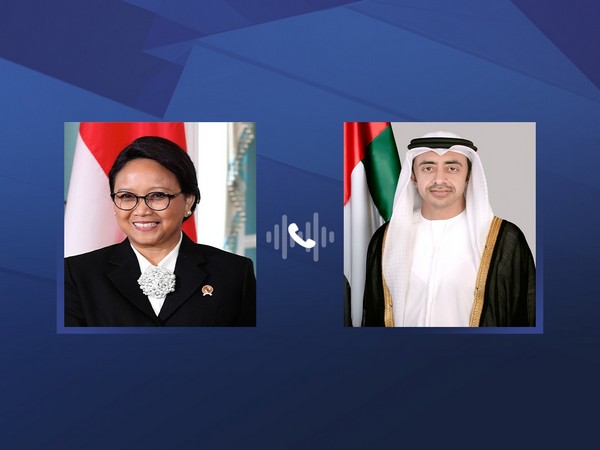 Abdullah bin Zayed, FM of Indonesia review regional developments (Source: WAM)