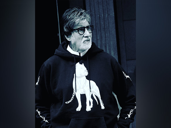 Amitabh Bachchan (Image source: Instagram)