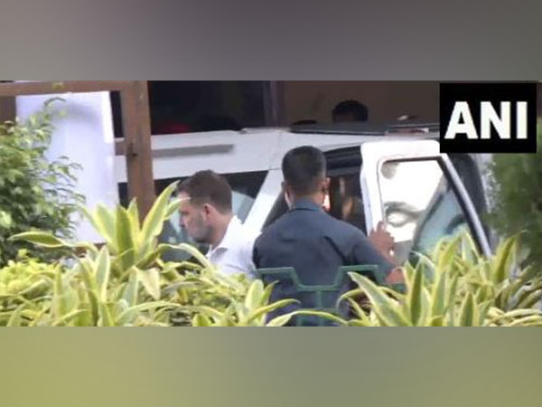 Congress MP Rahul Gandhi arrives at AICC headquarters for the party's Central Election Committee meeting(Photo/ANI)