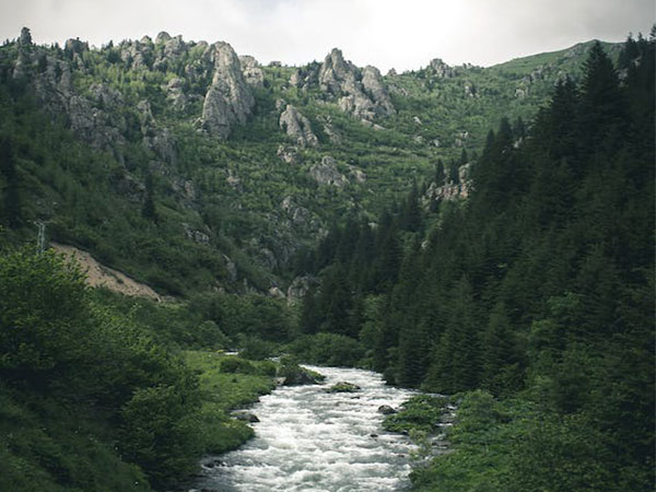 Representative image