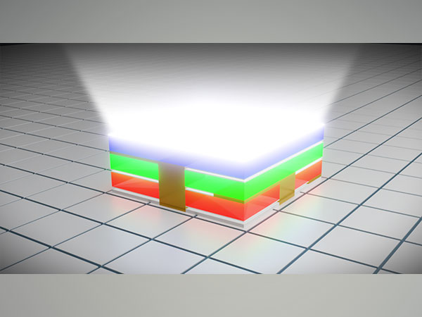 Rayleigh Vision's Micro-LED Technology Gains Momentum Amidst Display Evolution