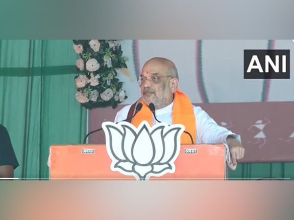 Home Minister Amit Shah (File Photo/ANI)