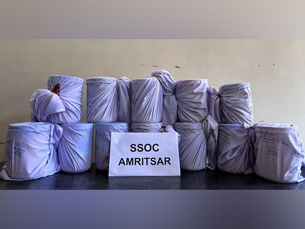 Visual of the seized items (Photo/Punjab Police)