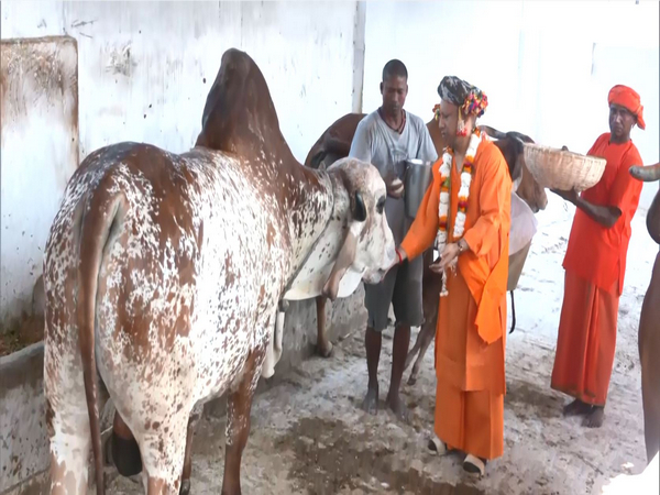 Uttar Pradesh Chief Minister Yogi Adityanath (Photo/ANI)
