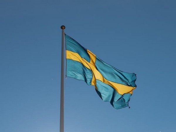 Flag of Sweden (Source: pexels.com)