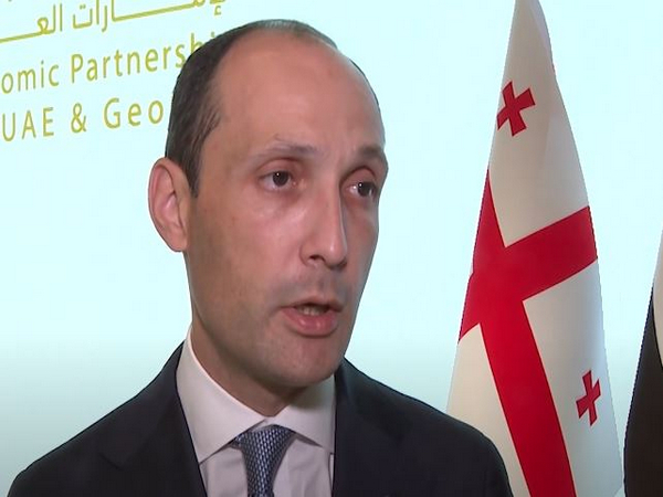 Georgia's Minister of Economy Levan Davitashvili (Source: WAM)
