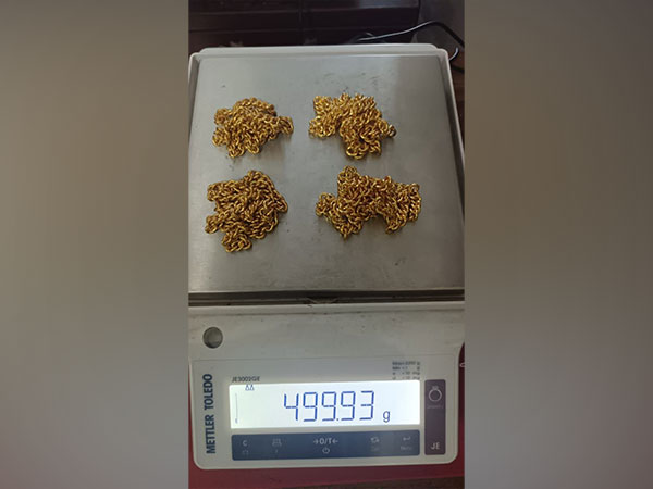 Seized four foreign origin gold chains (Photo/customs)