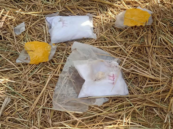 BSF, Punjab Police recover narcotics. (Photo/ANI)